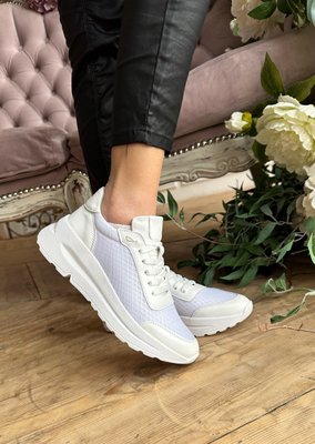 Білі сіткою жіночі кросівки Emeli 822-033 21011103046 фото - брендові жіночі кросівки розпродаж